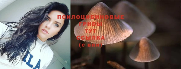 стаф Вязники