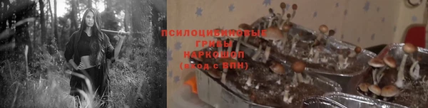 скорость Вязьма