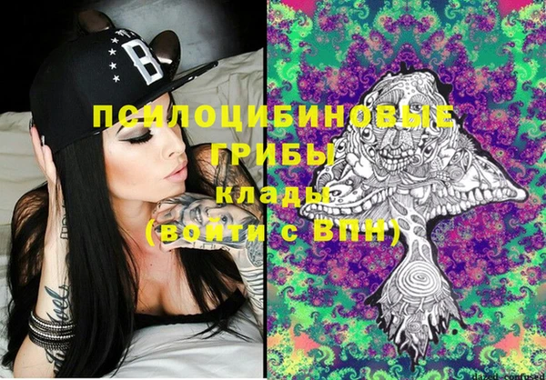 стаф Вязники