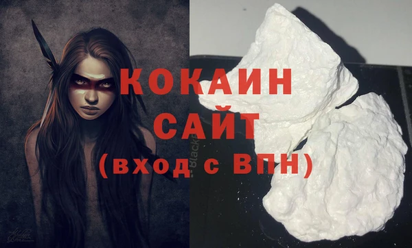 стаф Вязники